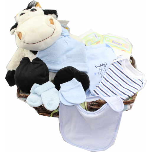 cesta,canastilla,canastita,bebe,recien nacido,recien nacida,niño,niña