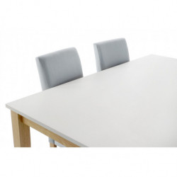 Mesa comedor y 6 sillas Blanco y gris