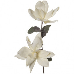 Set 6 Ramas Flores Blanco