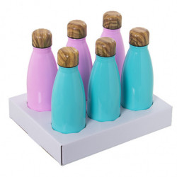 Set 6 botellas termo Verde y rosa
