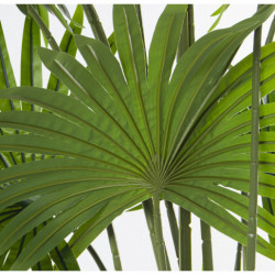 Planta artificial palmera verde
