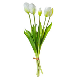 Set 8 ramos tulipanes blanco