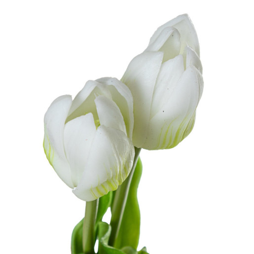 Set 8 ramos tulipanes blanco