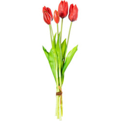 Set 8 ramos tulipanes tojo