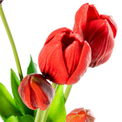 Set 8 ramos tulipanes tojo