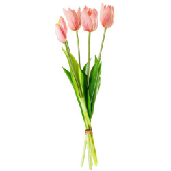 Set 8 ramos tulipanes rosa