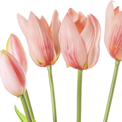 Set 8 ramos tulipanes rosa