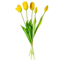 Set 8 ramos tulipanes amarillo