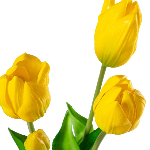 Set 8 ramos tulipanes amarillo