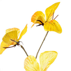 Set 6 ramas mariposas amarillo