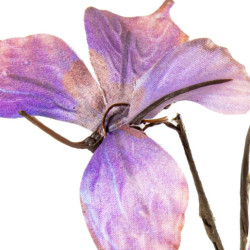 Set 6 ramas mariposas violeta