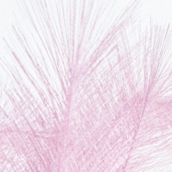 Set 6 ramas plumas rosa