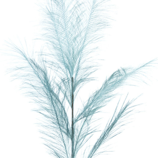 Set 12 ramos plumas azul