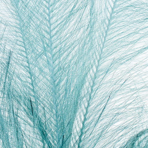 Set 12 ramos plumas azul