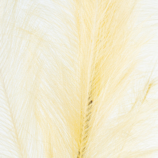 Set 12 ramos plumas amarillo