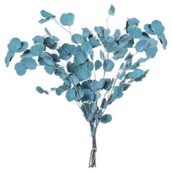 Set 6 ramos hojas eucalipto azul