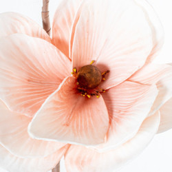 Set 6 ramas flores rosas