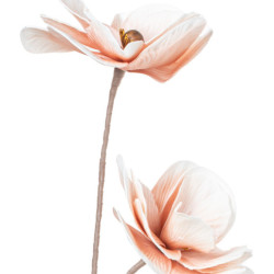 Set 6 ramas flores rosas