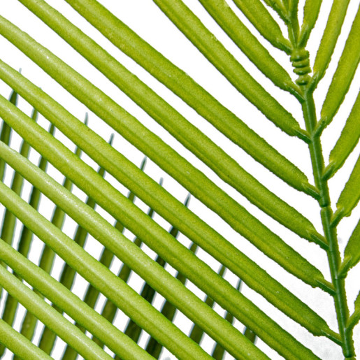 Planta artificial palmera verde