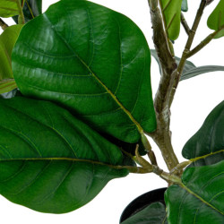 Planta artificial ficus verde