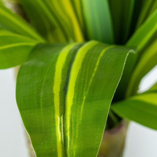 Planta artificial dracaena verde y amarillo