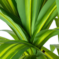 Planta artificial dracaena verde y amarillo