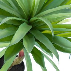 Planta artificial yuca verde