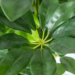 Planta artificial schefflera verde