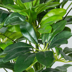 Planta artificial schefflera verde