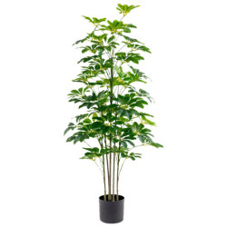 Planta artificial schefflera verde