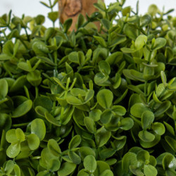 Planta artificial arbol del dinero verde