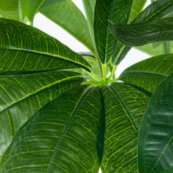 Planta artificialarbol de la fortuna verde