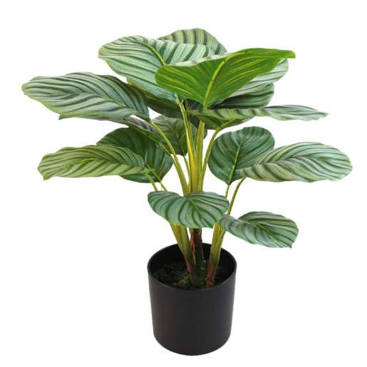 Planta artificial calathea verde