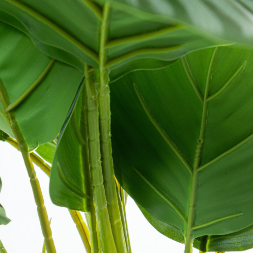 Planta artificial calathea verde