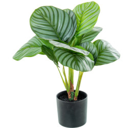 Planta artificial calathea verde