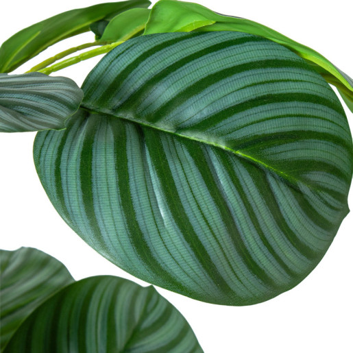 Planta artificial calathea verde