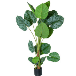 Planta artificial calathea verde