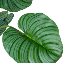 Planta artificial calathea verde