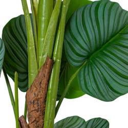 Planta artificial calathea verde