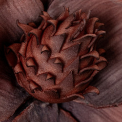 Set 6 flores artificiales coral