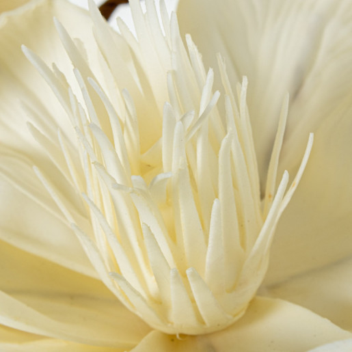 Set 6 flores artificiales blanco