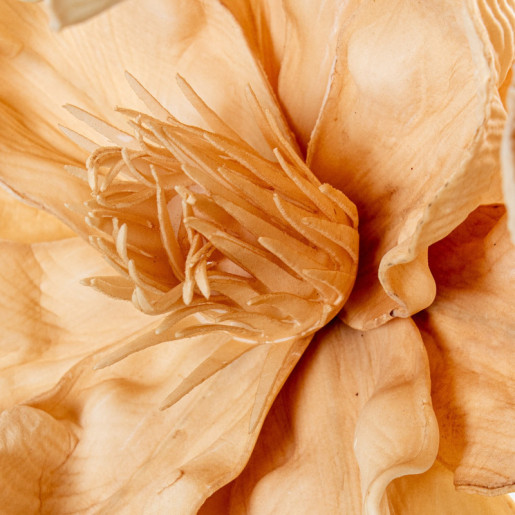 Set 6 flores artificiales beige