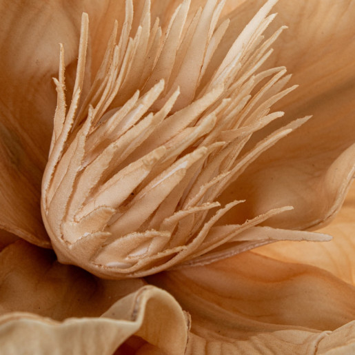 Set 6 flores artificiales beige