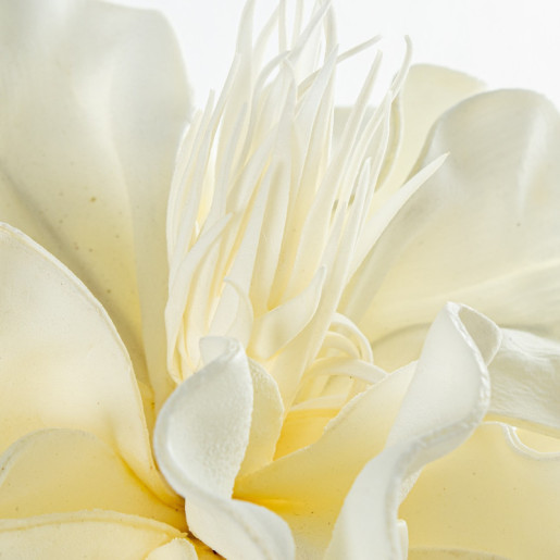Set 6 flores artificiales blanco