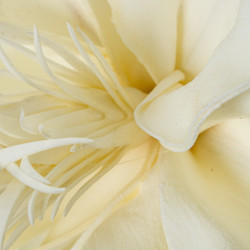 Set 6 flores artificiales blanco