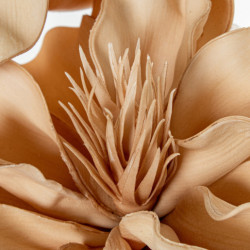 Set 6 flores artificiales beige