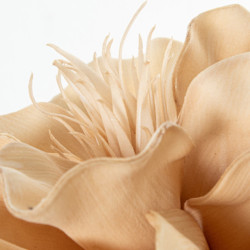 Set 6 flores artificiales beige