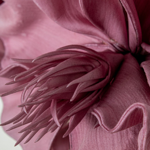 Set 6 flores artificiales violeta