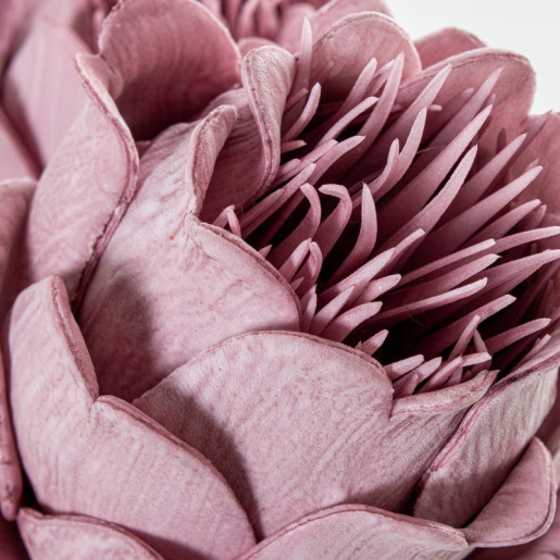 Set 6 flores artificiales violeta