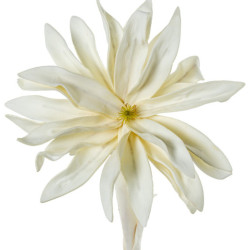 Set 6 flores artificiales blanco